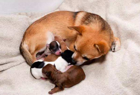 ����Ĺ���Ӧ�ó�Щʲô? ����������ʳע��!