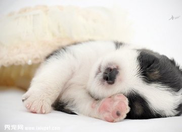 �ճ����İĴ���������Ȯ��Ȯ����ͼ