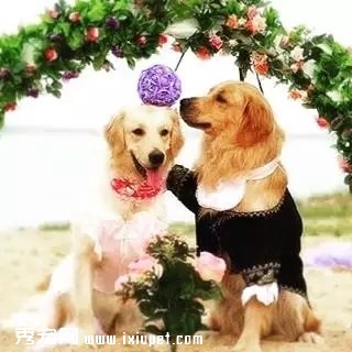 ���鶨�販�ᣬ�а���ǣצ�����������ļ�����У�