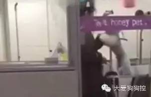 ��Ϊһ����������ʦ���㲻�䣡