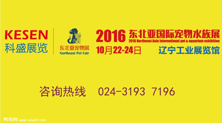 2016�궫���ǳ���ˮ��չ10��22��������¡�ؾ���