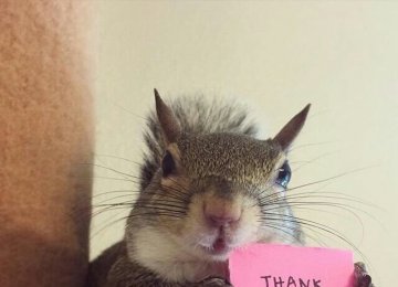 �����ͼƬ_����Լ��ͼƬ_С�������д��