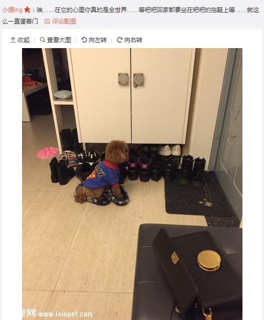 ��Ϊ���겻�ܴ������ؼң����Զ���·�ߣ����ѵ����۲�����ůů��