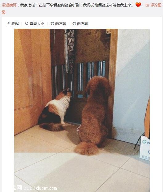 ��Ϊ���겻�ܴ������ؼң����Զ���·�ߣ����ѵ����۲�����ůů��