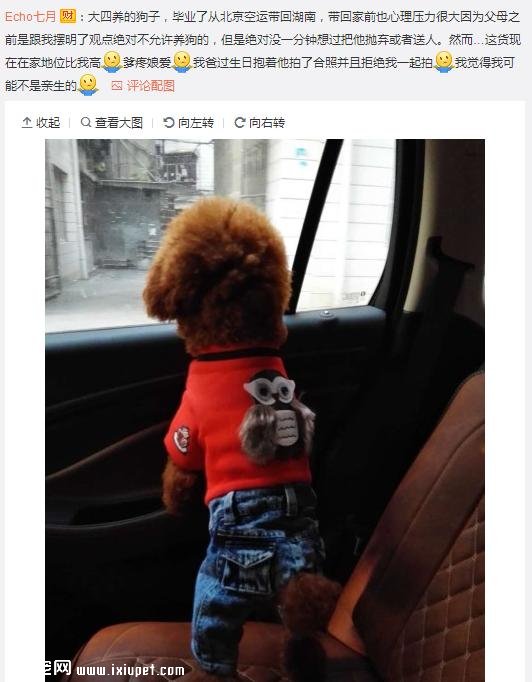 ��Ϊ���겻�ܴ������ؼң����Զ���·�ߣ����ѵ����۲�����ůů��