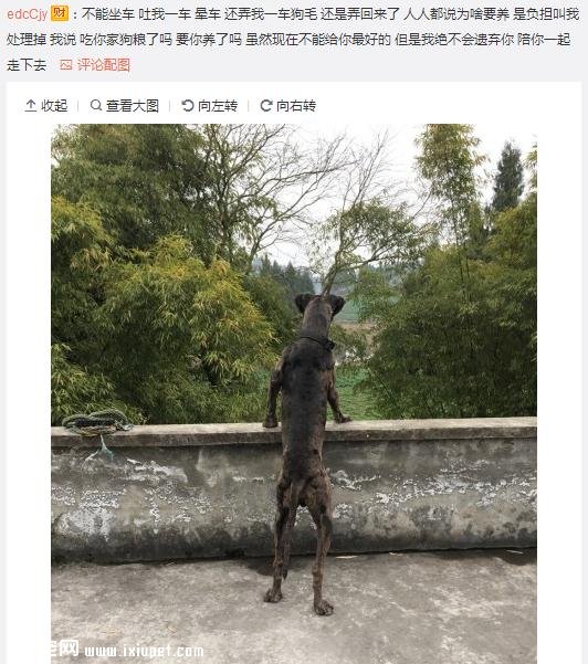 ��Ϊ���겻�ܴ������ؼң����Զ���·�ߣ����ѵ����۲�����ůů��