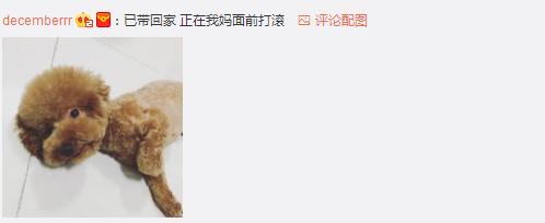 ��Ϊ���겻�ܴ������ؼң����Զ���·�ߣ����ѵ����۲�����ůů��