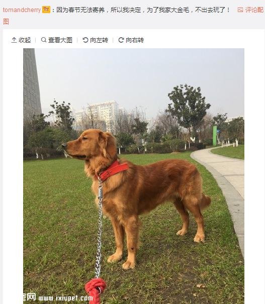 ��Ϊ���겻�ܴ������ؼң����Զ���·�ߣ����ѵ����۲�����ůů��