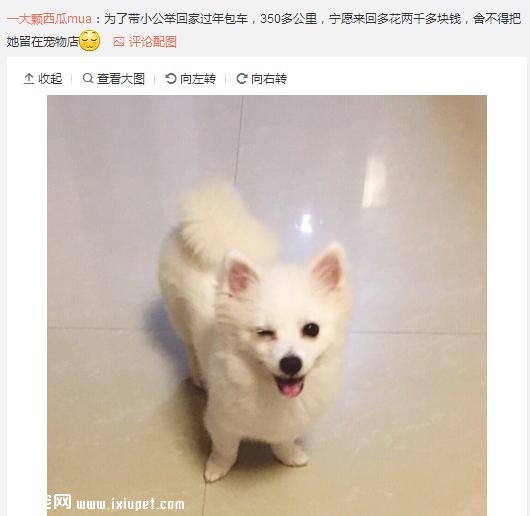 ��Ϊ���겻�ܴ������ؼң����Զ���·�ߣ����ѵ����۲�����ůů��