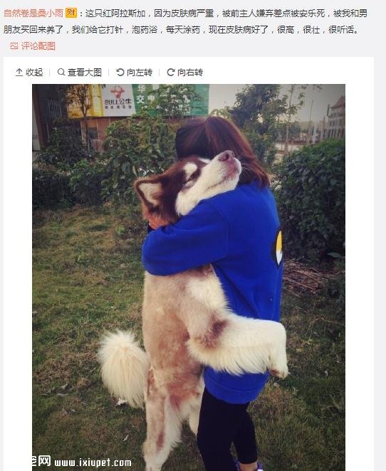 ��Ϊ���겻�ܴ������ؼң����Զ���·�ߣ����ѵ����۲�����ůů��