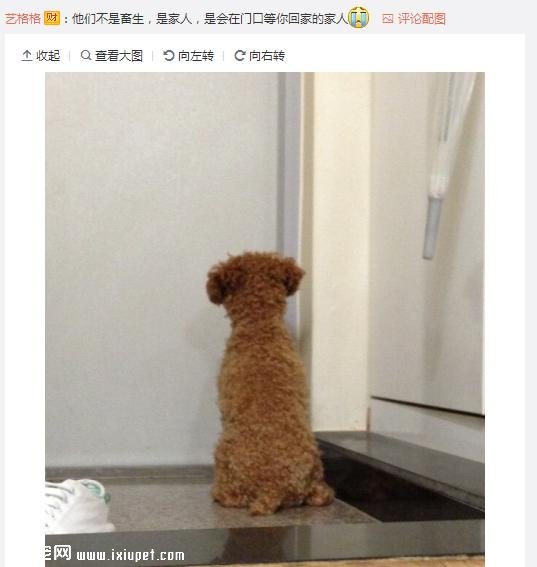 ��Ϊ���겻�ܴ������ؼң����Զ���·�ߣ����ѵ����۲�����ůů��