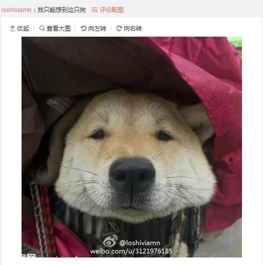 ��Ϊ���겻�ܴ������ؼң����Զ���·�ߣ����ѵ����۲�����ůů��