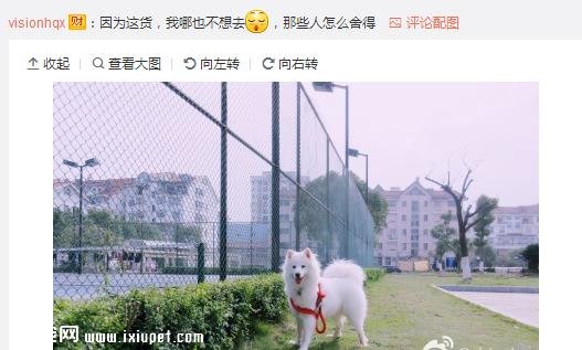 ��Ϊ���겻�ܴ������ؼң����Զ���·�ߣ����ѵ����۲�����ůů��