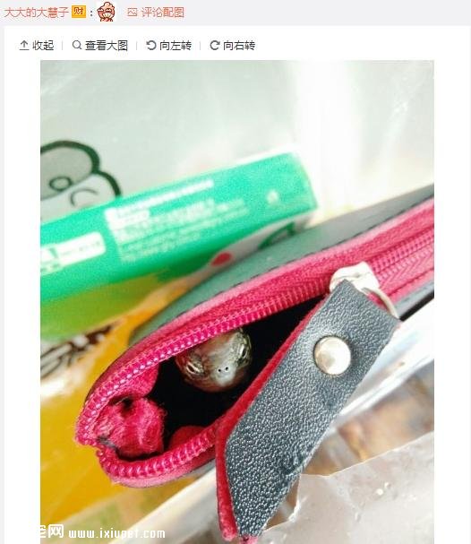 ��Ϊ���겻�ܴ������ؼң����Զ���·�ߣ����ѵ����۲�����ůů��